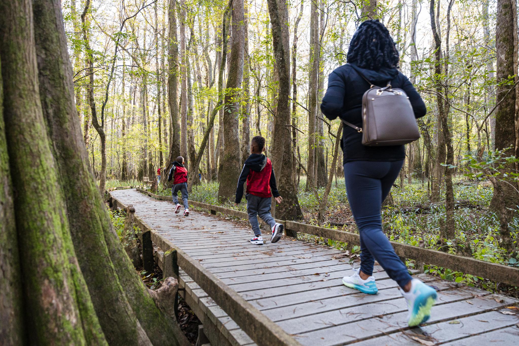 Congaree National Park - photo by Forrest Clonts