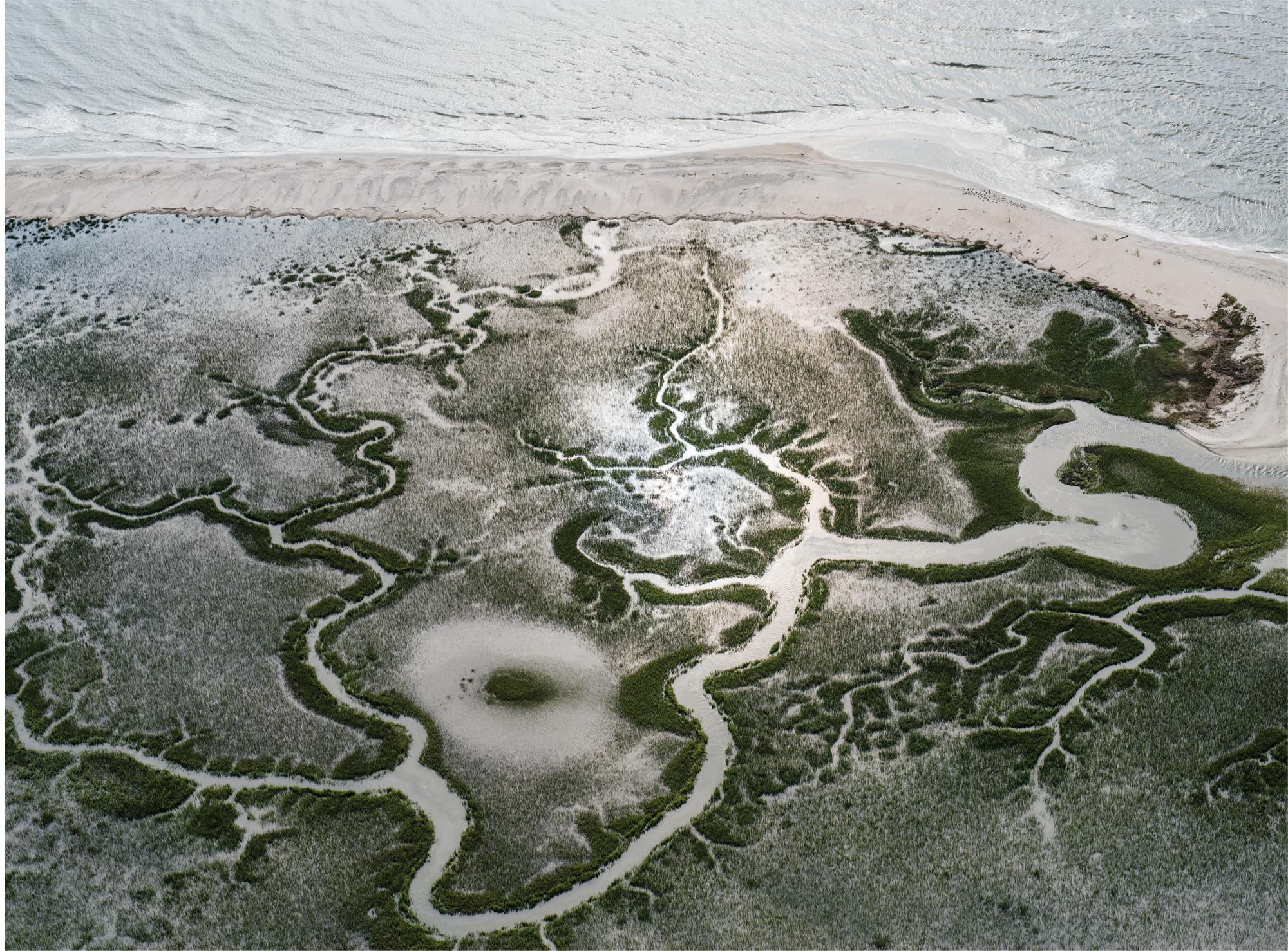 Wetlands at Edisto Beach  (Edisto Island; October 13, 2015)