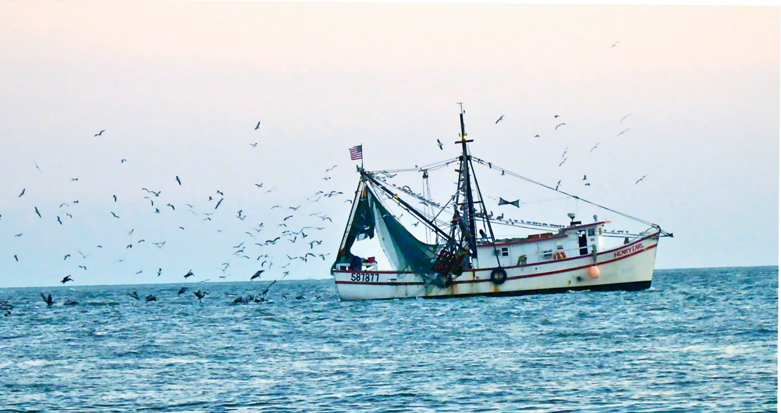 A Southern Living by Lisa Hartzog  {Amateur category} - A shrimp boat heads down the Edisto River with many feathered friends in pursuit.