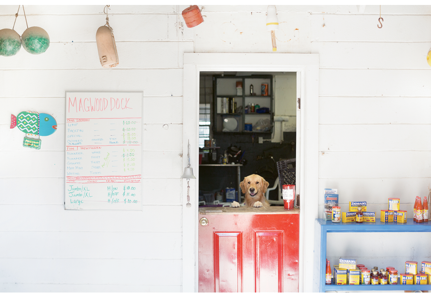 A friendly face at Magwood Dock