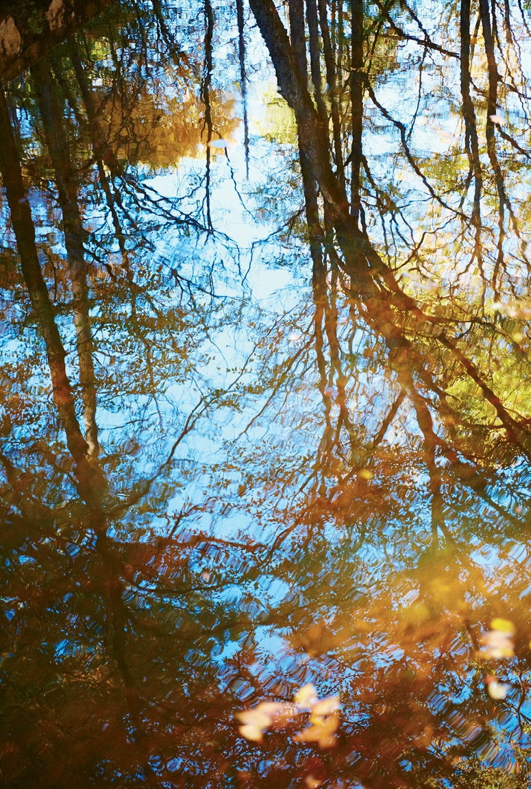 Changing leaves, flowing streams, and broad smiles (à la artist John Duckworth) aplenty along the road and in the forests.