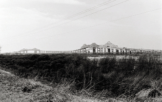 The Grace and Pearman bridges