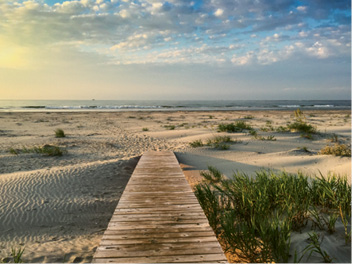 Great Escape  “On Dewees Island, you’re immersed in nature. You feel like you’re so far away.”