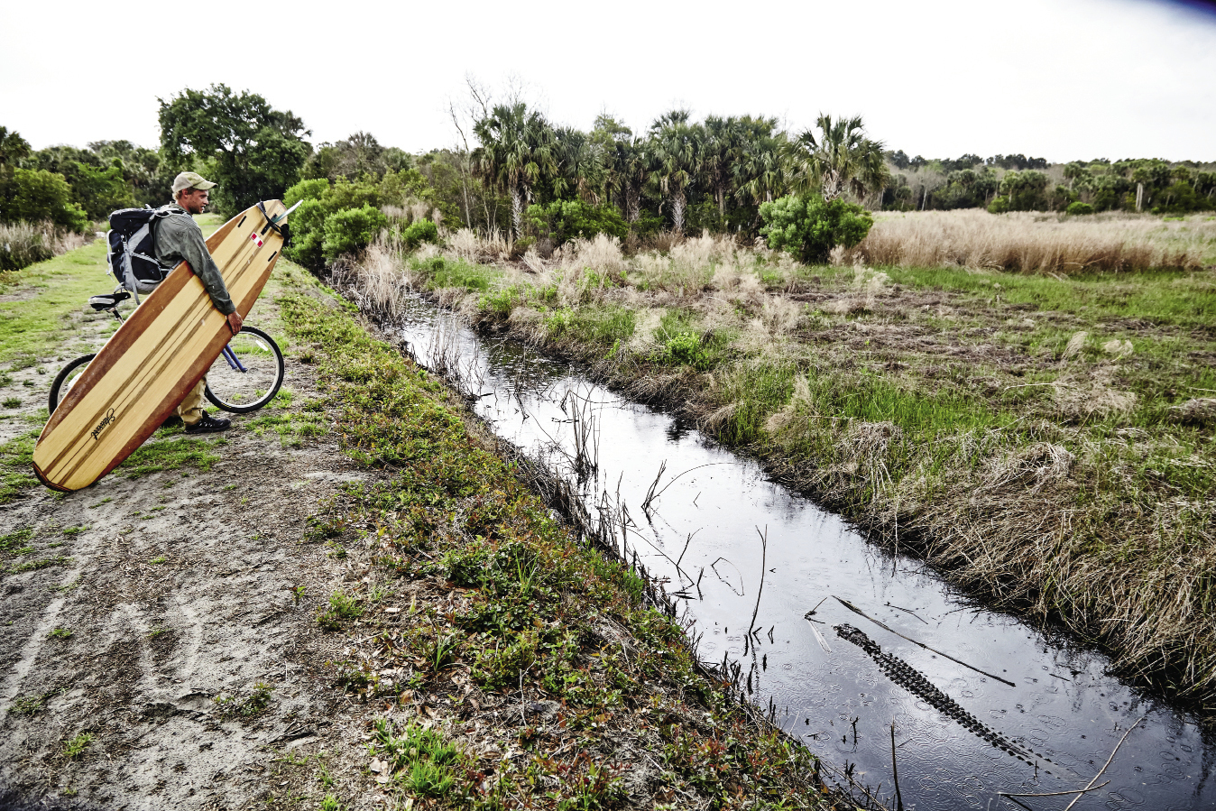 Luke admires one of the wild denizens lurking in a ditch.