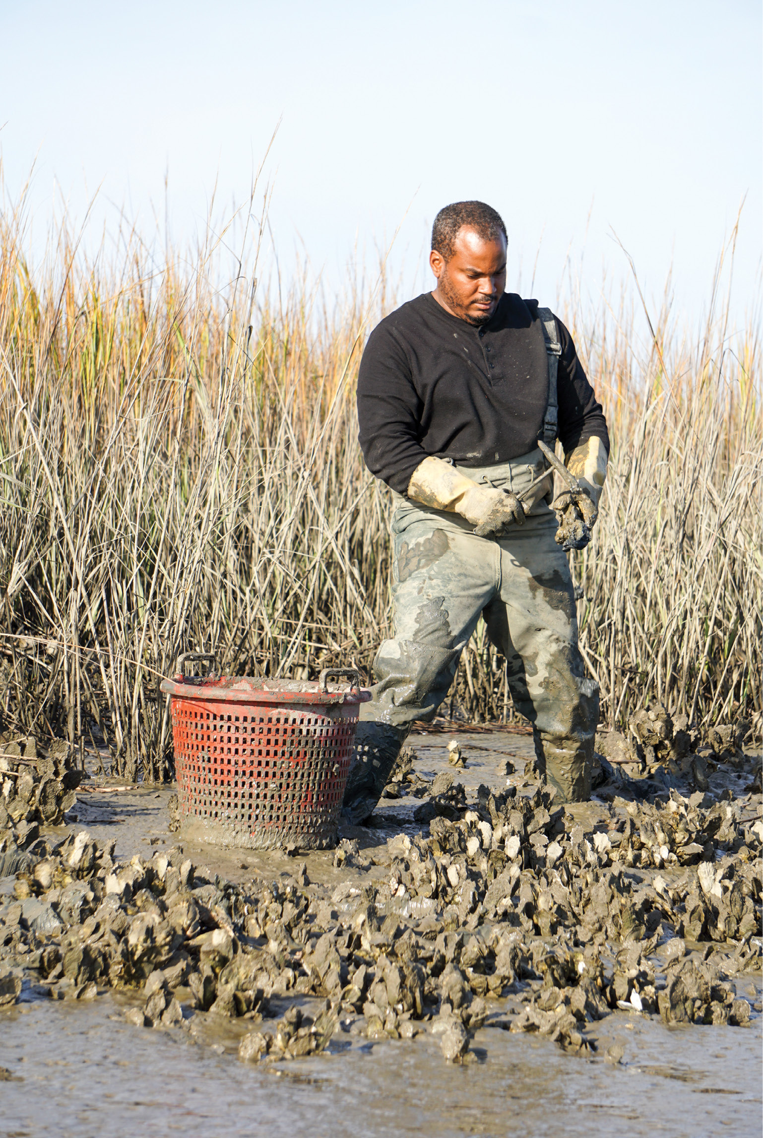 Oysterman Jamie White harvests for Bowen’s Island Restaurant the old-school way—chiseling clusters apart with a welding hammer.<br /> 