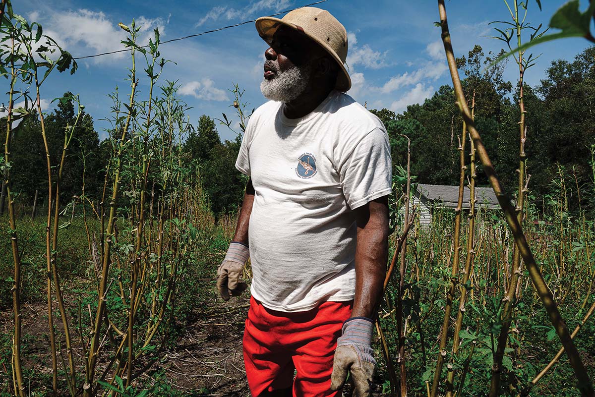 The Harvest (digital photograph, 8 x 10 inches, 2024)