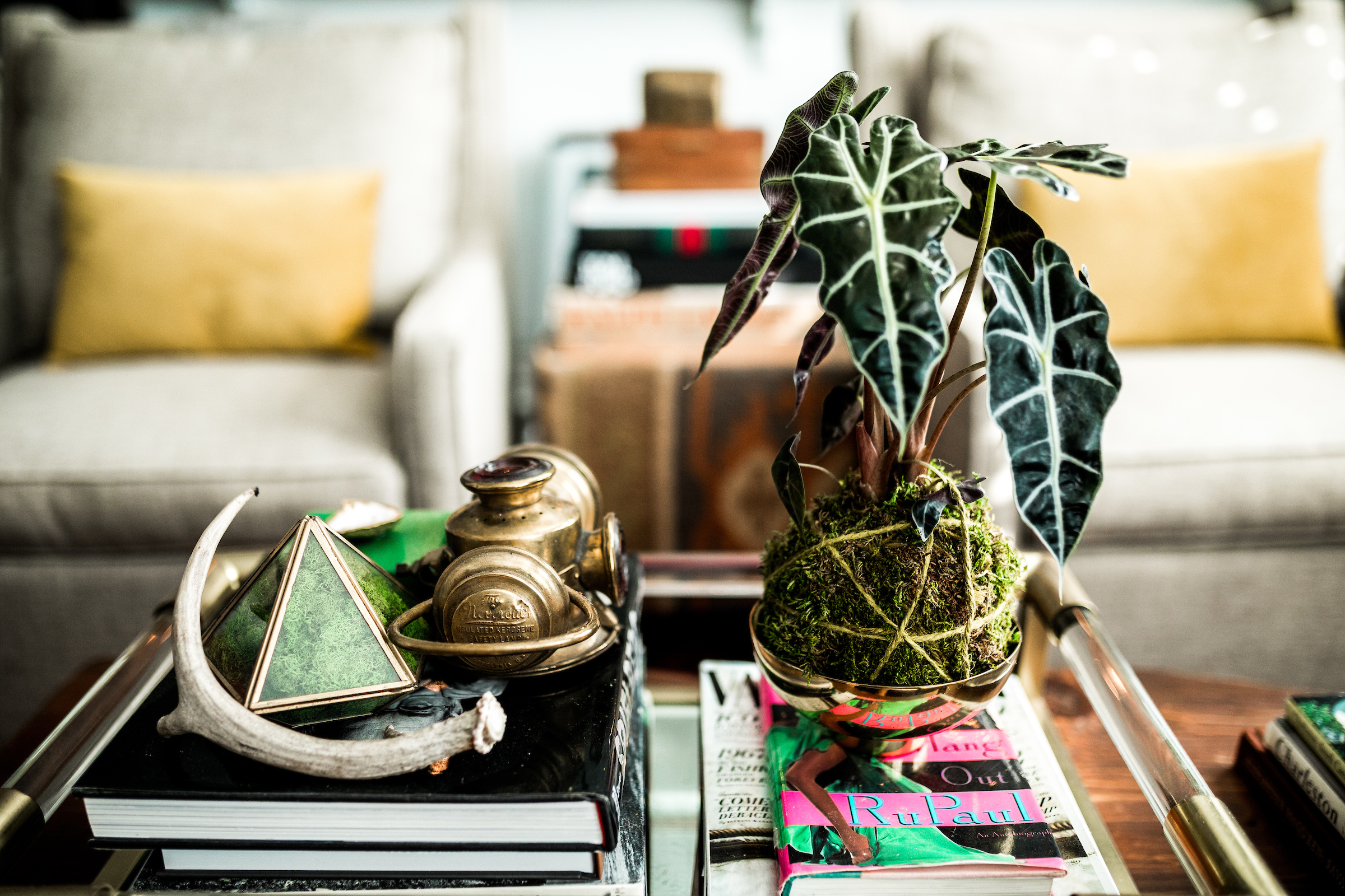Also experiment with resting your kokedama inside a shallow container.