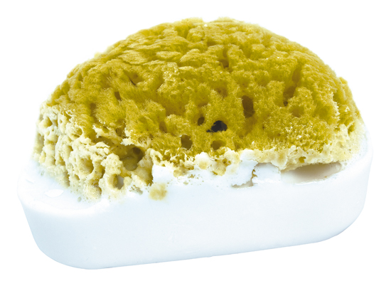 Goat&#039;s Milk Lavender Soap with Attached Exfoliator