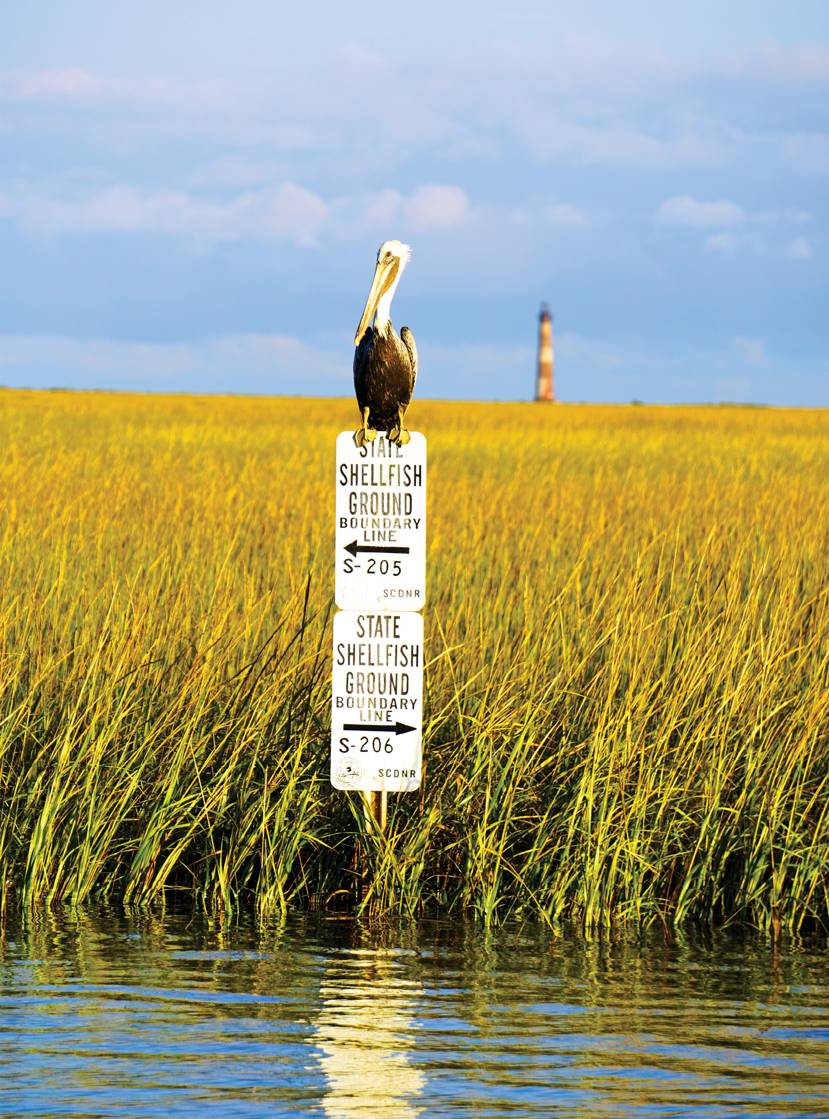  All oyster leases are protected, monitored, and managed by the state’s Department of Natural Resources and are marked accordingly. 