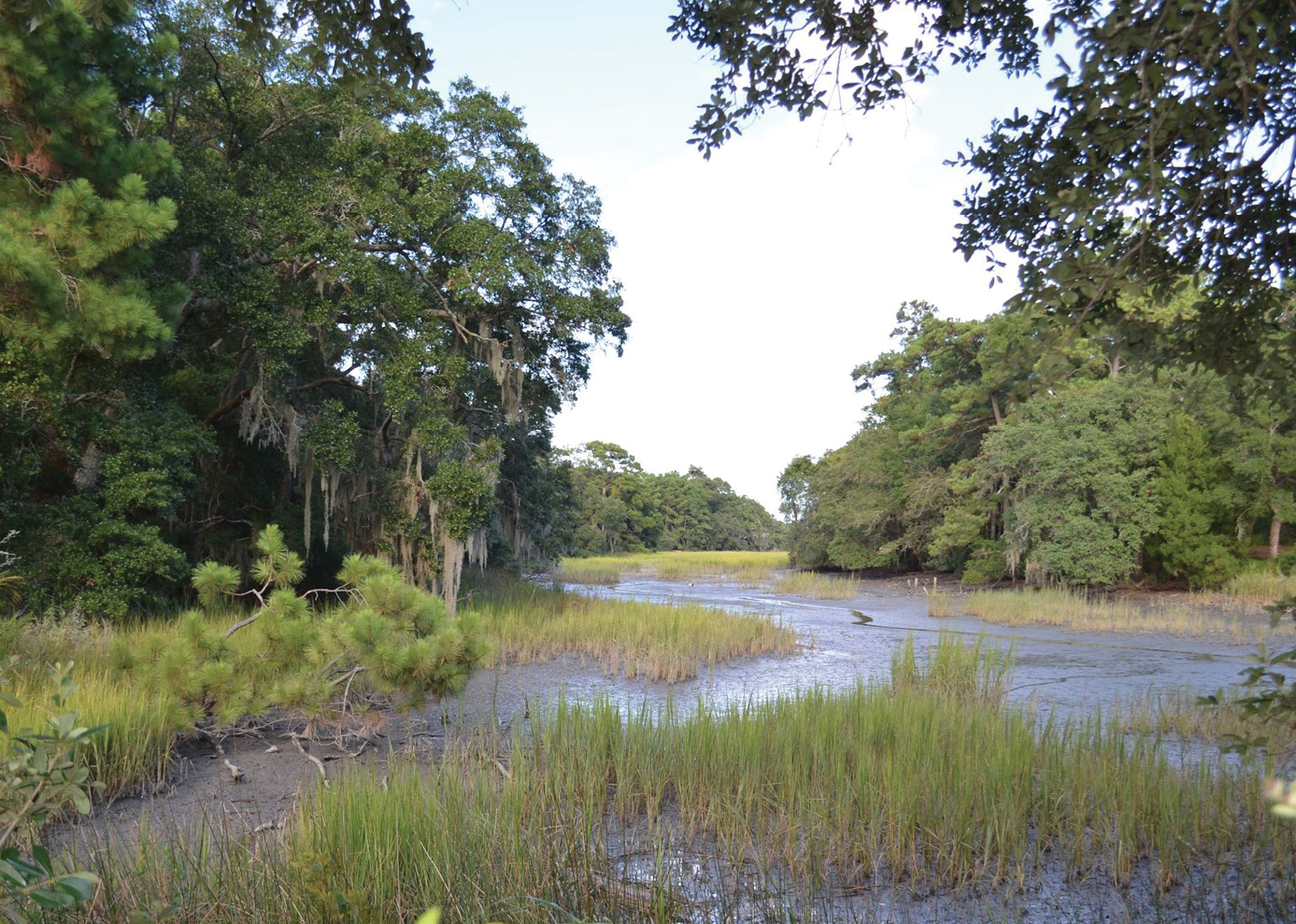 5. Phase One of the Town of James Island’s new Pinckney Park opened in May.
