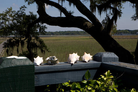 Prouvost Wilson Shoot _84.jpg