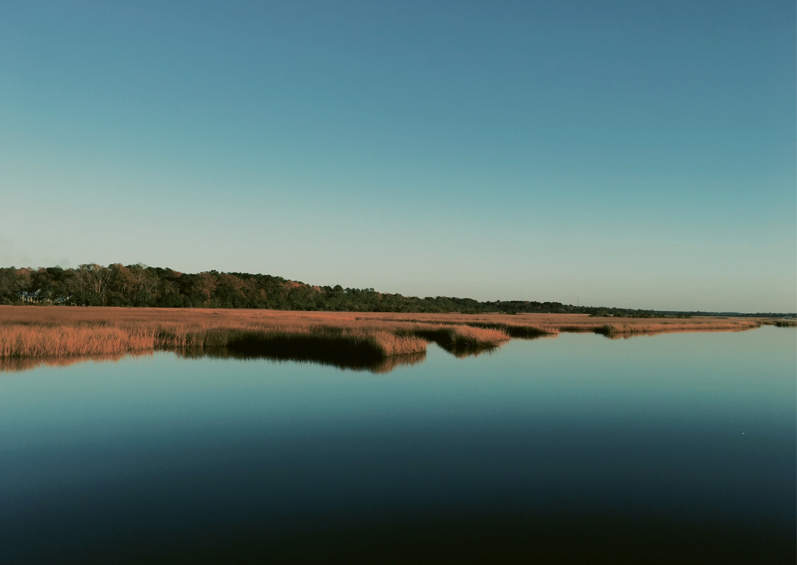 The Marsh by Lillie Sauls  {Amateur category} - A quiet moment on Rantowles Creek