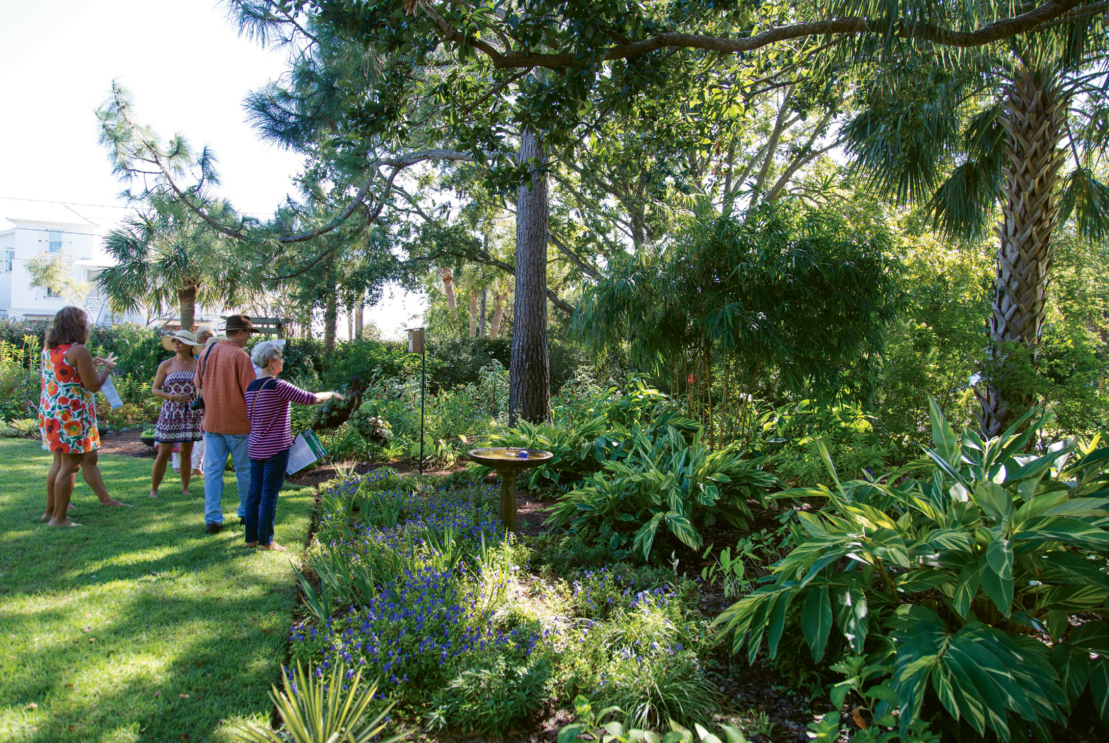 BEACH BABY: Though still an infant by garden standards, Patti’s Sullivan’s Island garden was featured during the Charleston Horticultural Society’s Fall 2017 Garden Tour; (below) the complementary colors and textures of butterfly weed and Mexican bush sage.