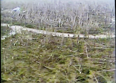 News 2 offered aerial shots of the area near Bulls Bay