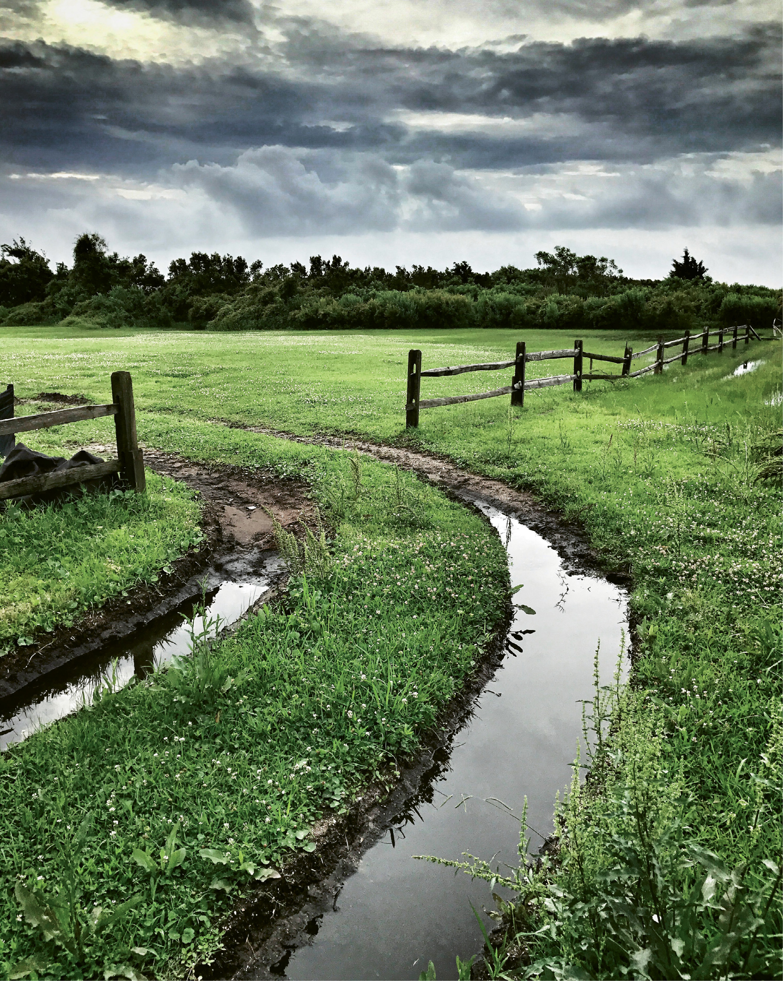 Water Tracks by Jackie Levesque  {Amateur category}  - The backyard of a home under construction on Sullivan’s Island after a heavy spring rain