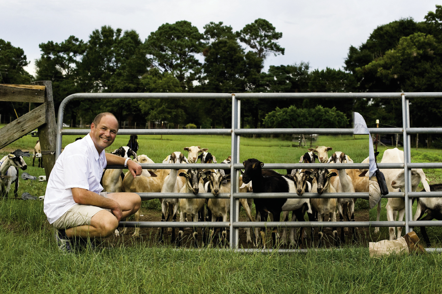Hominy Grill chef Robert Stehling