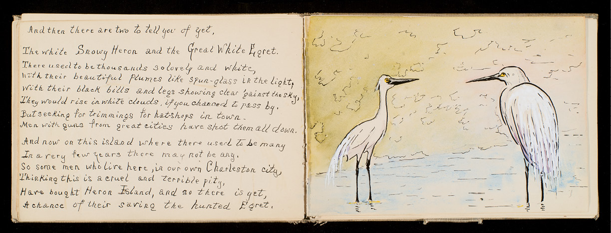 Pages from a children’s book with text and watercolor illustrations created by Alice as a birthday gift for her niece Caroline Ravenel Mason Smith in 1912 (courtesy of Caroline Prouty Smith)