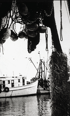 A trawler on Shem Creek
