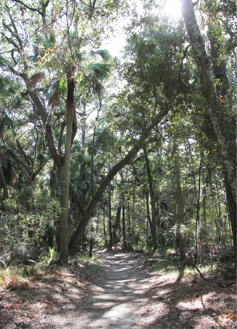 Campers, retreat-goers, and day visitors can enjoy hiking, biking, and kayaking in this 314-acre conference center and nature preserve