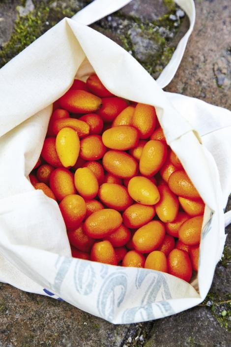 Church Street yielded plenty of the deliciously sweet and sour fruit for Matt and Ted to infuse into a jar of gin