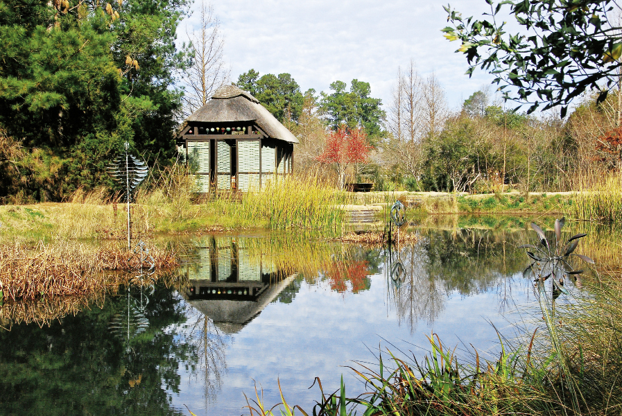 pond moore farm_opt_0.jpeg