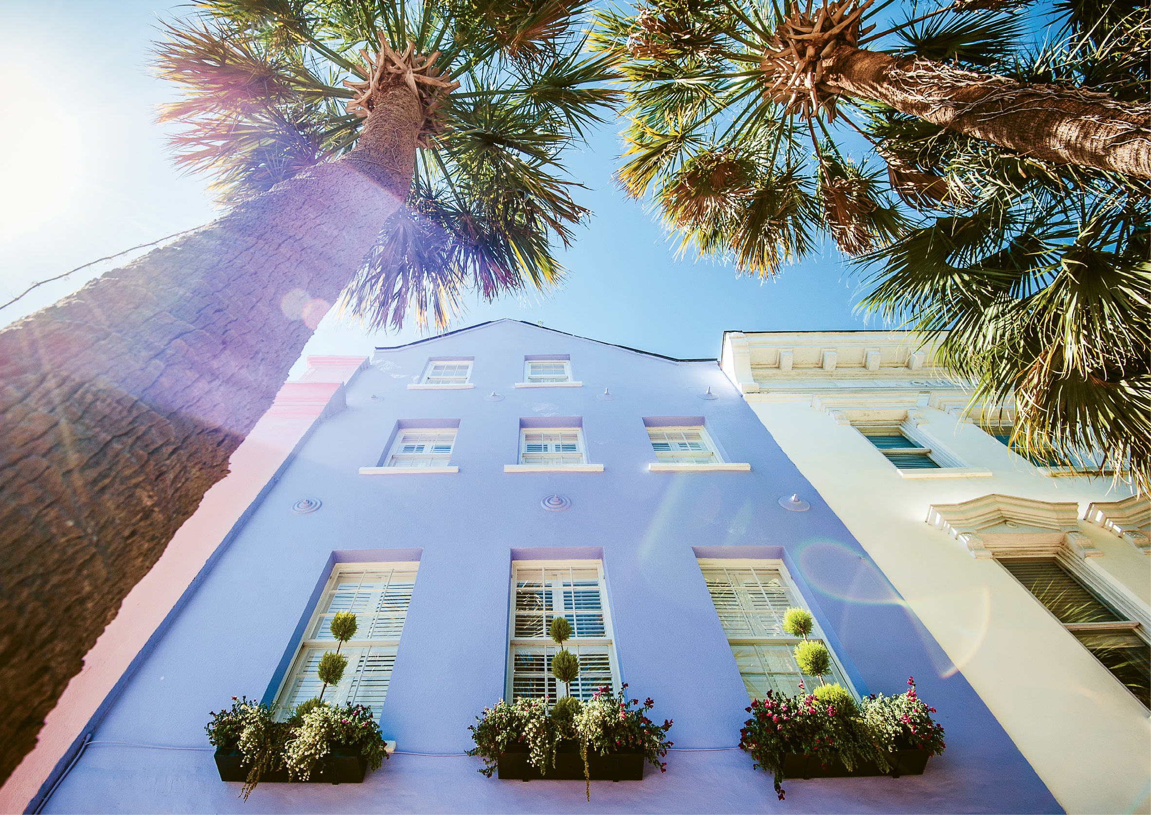 Purple haze by Pamela Oliveras  {Professional category} - Rainbow Row from a new angle