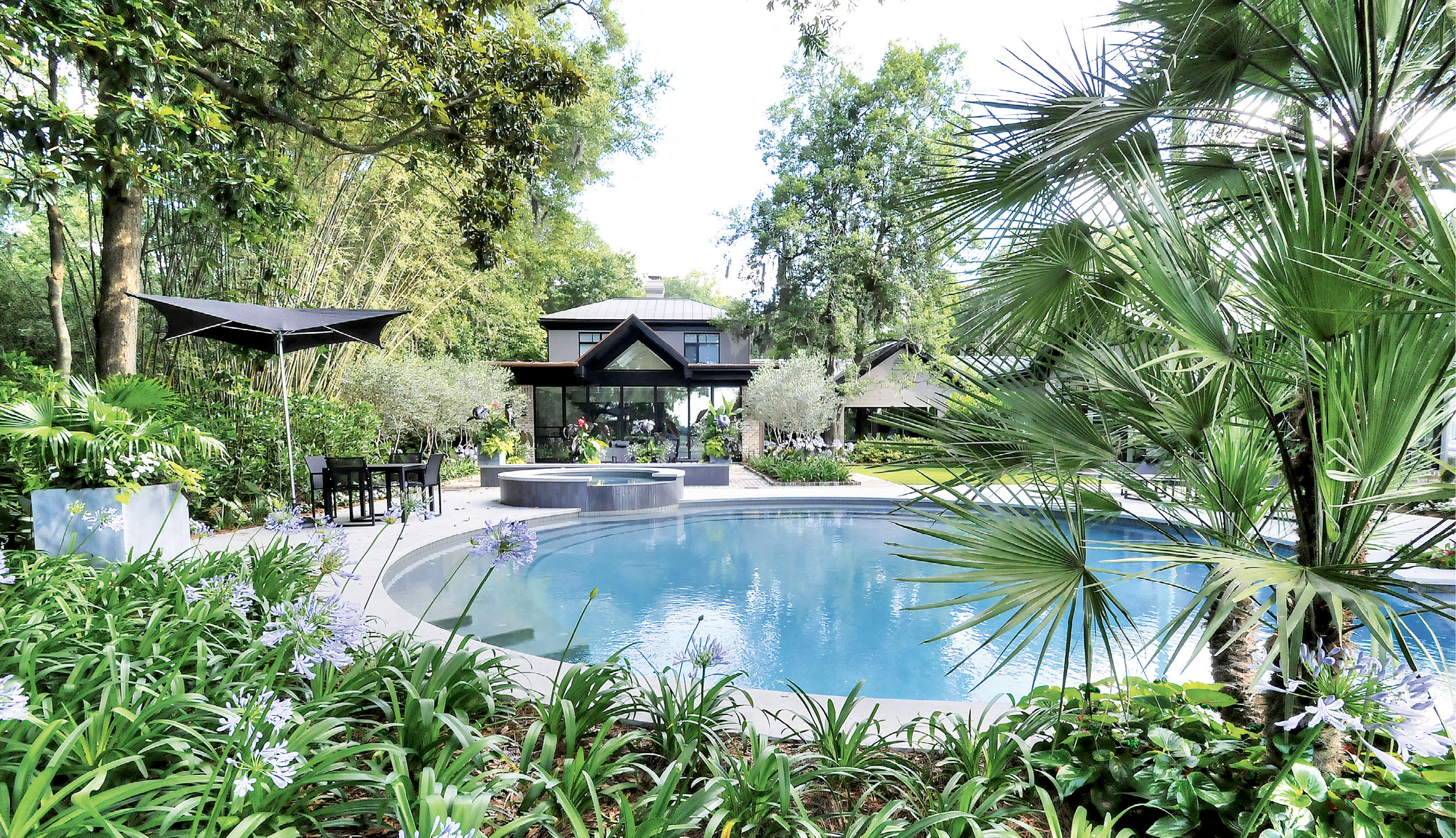 Round About: The pool’s graceful shape is echoed by a stone patio, which Wertimer further defined with dwarf palms and climbing fig.