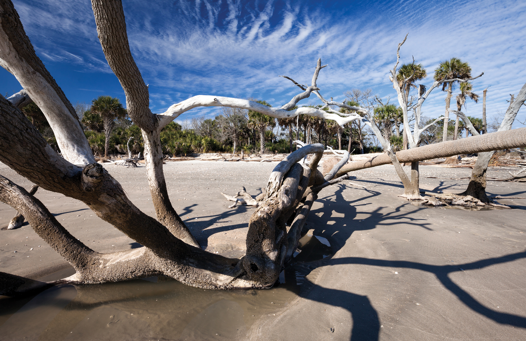 Botany Bay Plantation Heritage Preserve