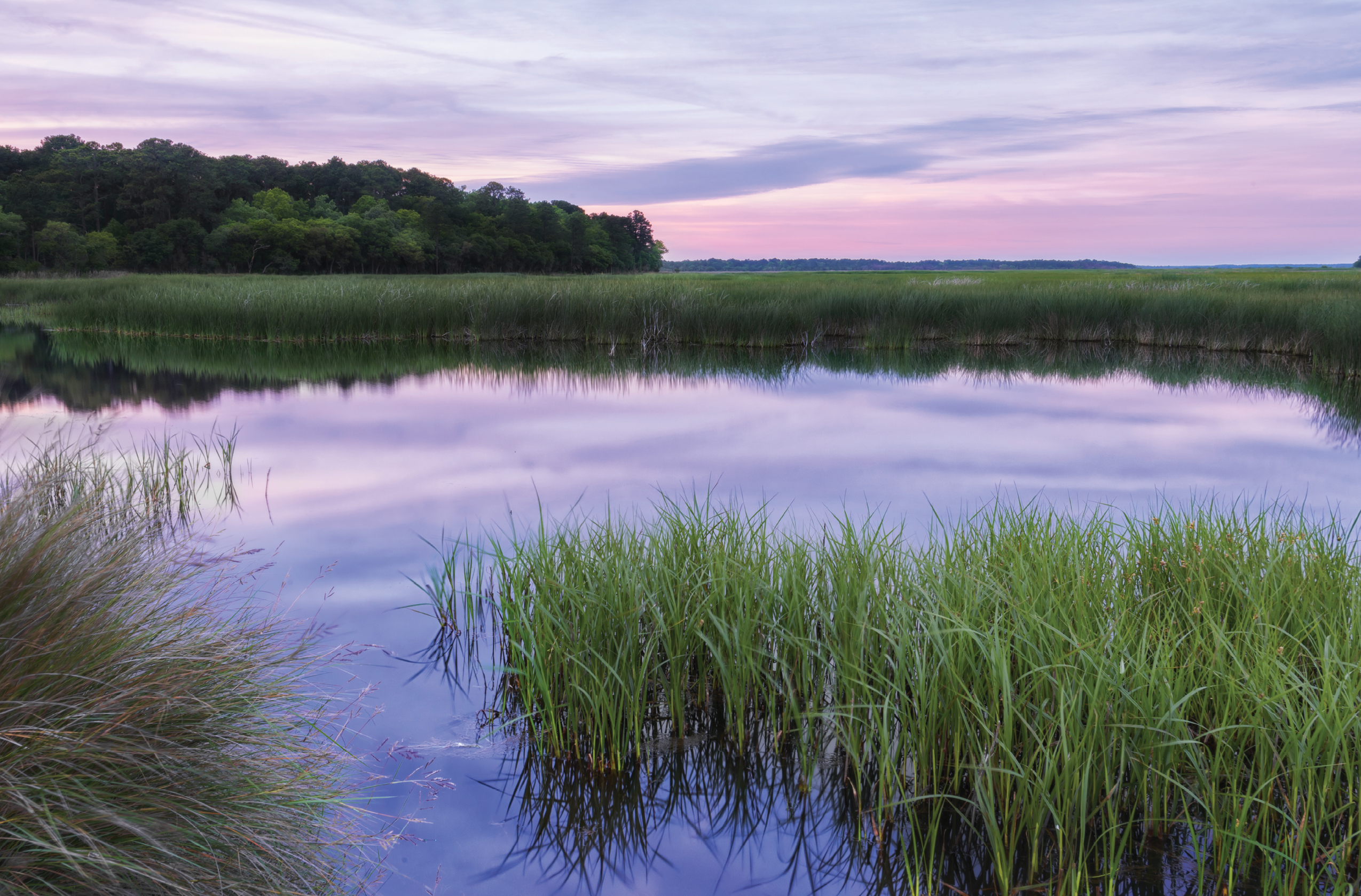 ACE Basin National  Wildlife Refuge