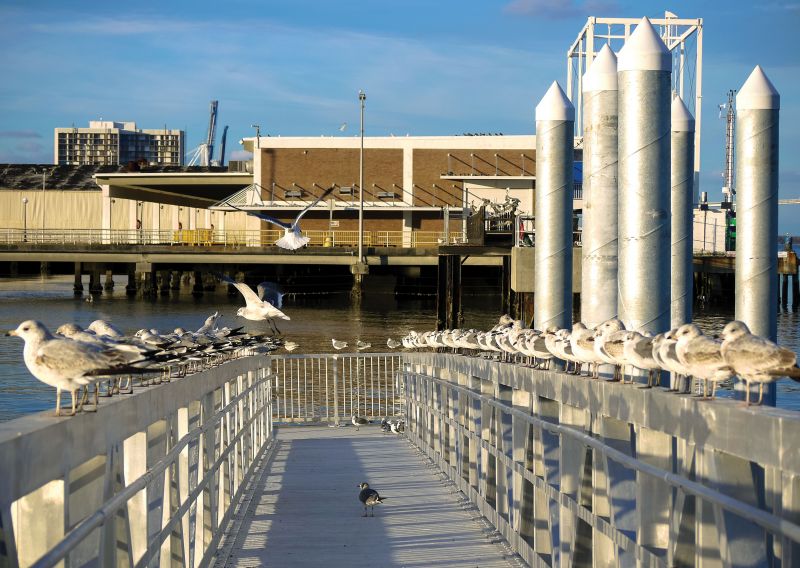 SC Ports retains ownership of the cruise terminal, and, as their lease agreement with Carnival ends this year, will move towards “abbreviated port-of-call stays” instead.