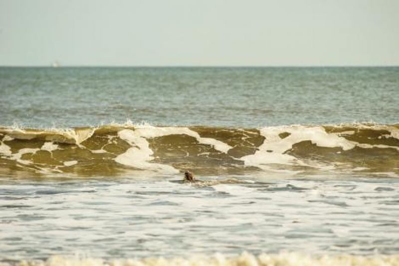 Return of the Ancient Mariner