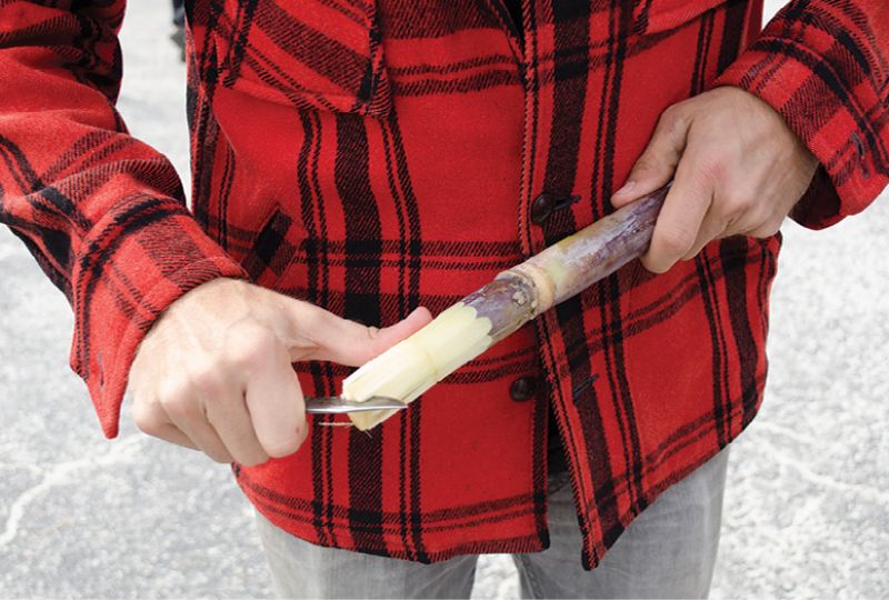 Lowcountry Street Grocery offered  attendees raw sugar cane.