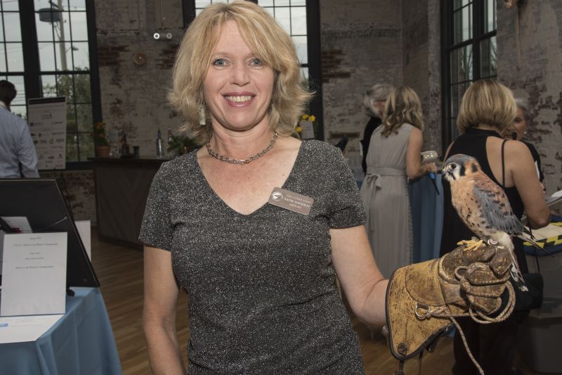 Kathie Davidson minds the American kestrel.