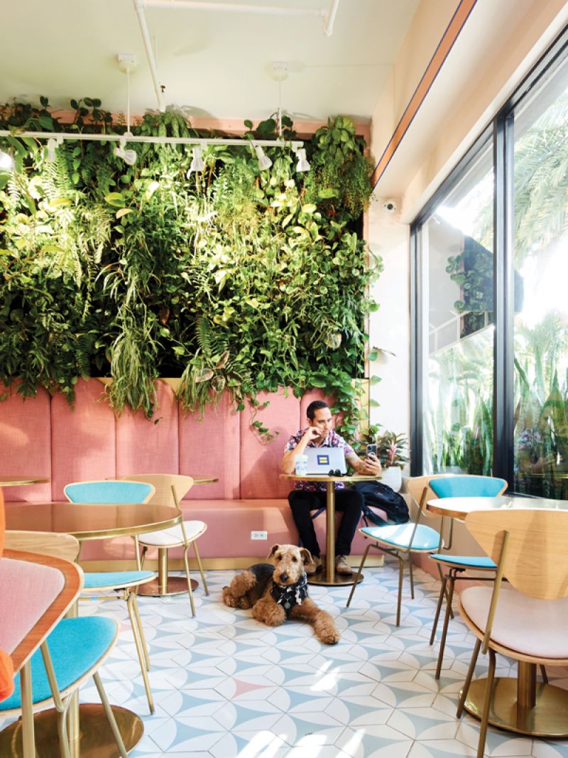 Florida pinks and blues on a sunny morning inside Paradeco Coffee Roasters.