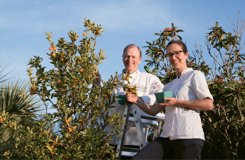 A Bird’s-Eye View: Melanie Durant among the kumquat trees with Bernd Gronert at his Cypress Hill Farm.