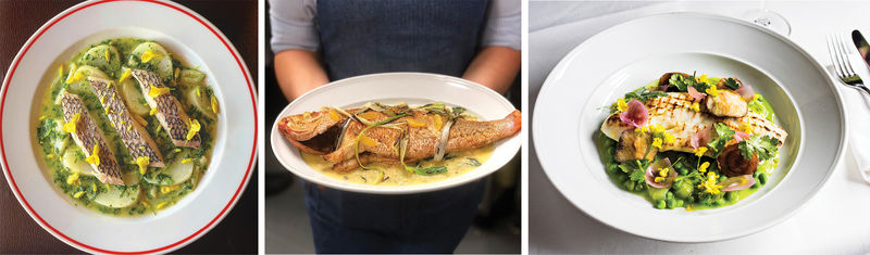 (Left to right) FIG’s baked bass with turnip and ramps; beeliner (vermillion snapper) with lady peas, red lime, and charred onion; and grilled triggerfish with spring peas, shiitake, sherried shallots, and cilantro
