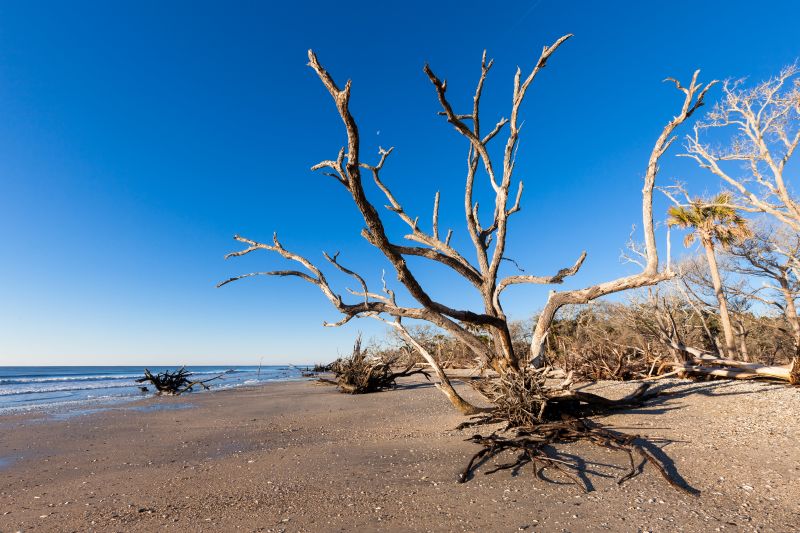 Beachy keen:  “Not ashamed to say I’m becoming a beach bum on my days off. Edisto is high on my list of places to visit next.”