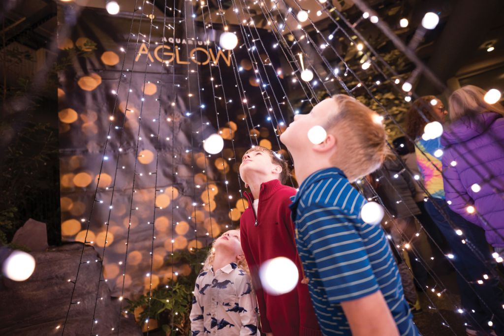 South Carolina Aquarium.