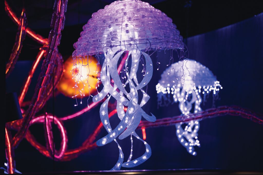 South Carolina Aquarium.